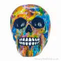 Skull Decoration Ornaments Assortment | Bulk Halloween Novelties