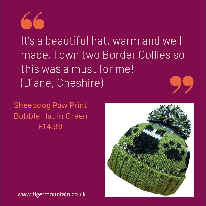 Our latest customer reviews!