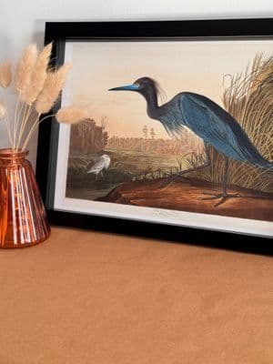 Blue Heron (A4 landscape)