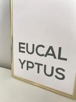 Eucalyptus (A4 GREEN)