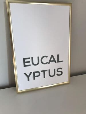 Eucalyptus (A4 GREEN)