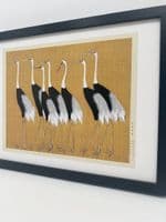 Flock of Japanese red-crowned crane  (30x40cm landscape)