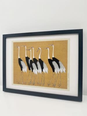 Flock of Japanese red-crowned crane  (30x40cm landscape)