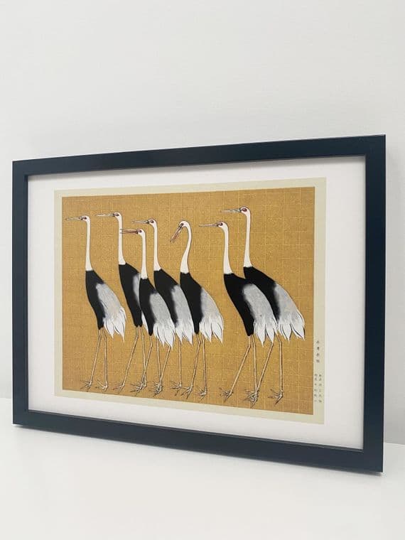 Flock of Japanese red-crowned crane  (30x40cm landscape)