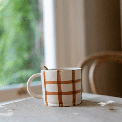 Gingham Check Mug - Ginger