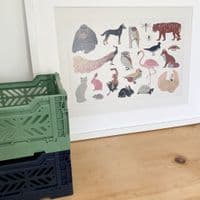 Navy - MINI CRATE (Aykasa)