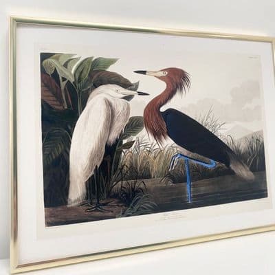 Purple Heron  (30x40cm landscape)