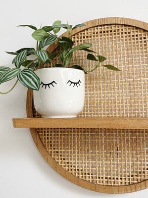 Round shelf with Mini planter & Faux plant BUNDLE