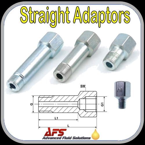R 1/4 BSPT x 1/4 BSP MxF 50mm Long Extending Grease Line Adaptor Fitting