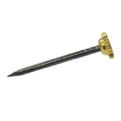 Hardened Picture Pins 24mm Knurled Flat Brass Head