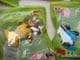 Delhaize 2018  De Boer-De- Reis (Farm animals in outfits) pack of 12.