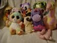 keel plush, animotsu, mini motsu, cats, dogs, bears, animals ect