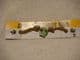 Skull band light green