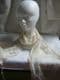Soft  Long paneled Scarf  lace cream