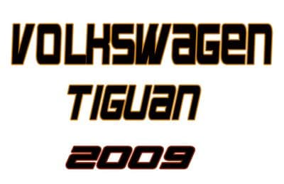 VOLKSWAGEN TIGUAN Passanger Occupancy Seat Weight Sensor( 2009)