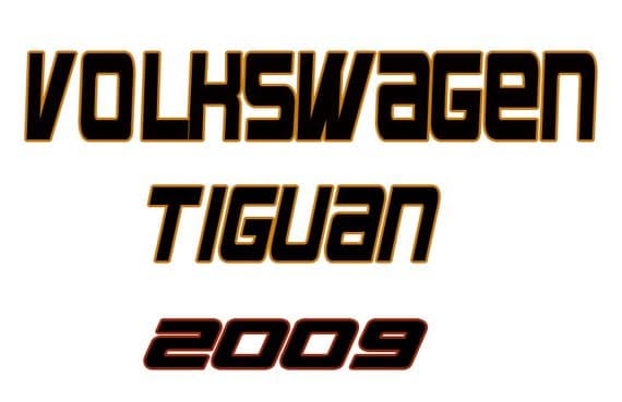 VOLKSWAGEN TIGUAN Passanger Occupancy Seat Weight Sensor( 2009)