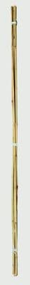 Ambassador Bamboo Canes - 2' Pack of 20