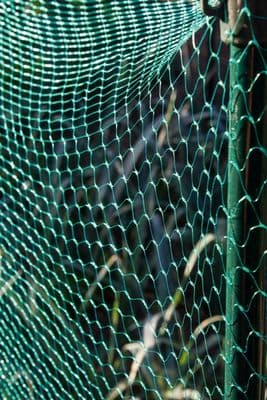 Ambassador Garden Net Green - 15mm x 6 x 4m