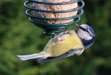 Bird & Pet Care Products