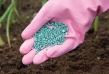 Garden Chemicals & Growing Media