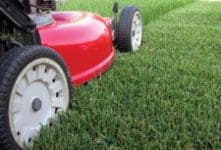 Garden Power Tools