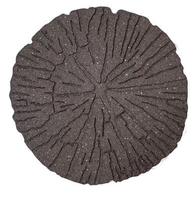 Primeur Stepping Stone Cracked Log - Earth 2x45x45cm
