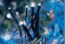 Winter Seasonal Products