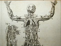 Medical, Science & Tech