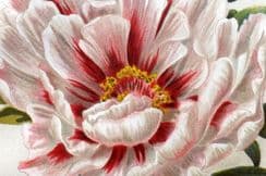 10th July 2023. John Weathers Botanical Prints