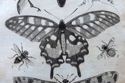 10th June 2023. British Encyclopedia Natural History/Science