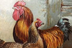 10th June 2023. Harrison Weir Poultry