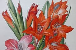 12th June 2023. Step Botanical Prints