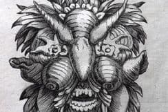 12th June 2024. BUONANNI SHELL PRINTS