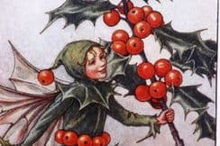 12th June 2024. Cicely Barker Flower Fairies