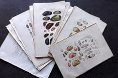 12th May 2025. Special Offer Wholesale Lots
