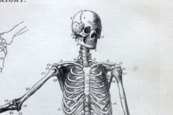 12th November 2025. Beeton Science, Tech, Natural History