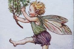 13th May 2022. Cicely Barker Flower Fairies