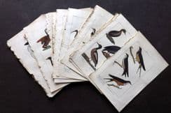 14th April 2025. Special Offer Wholesale Lots