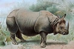 14th December 2022. Lydekker Natural History