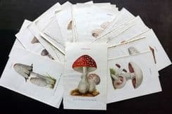 14th December 2025. Special Offer Wholesale Lots