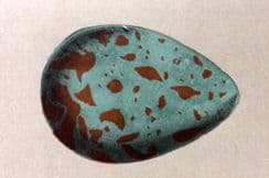 14th July 2025. Morris Egg Prints