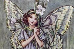 14th March 2023. Barker Flower Fairies