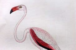 14th September 2025. Bree Bird & Egg Prints