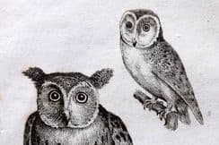 15th July 2023. Bingley Bird Prints