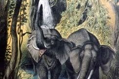 15th November 2022. Adam White Natural History