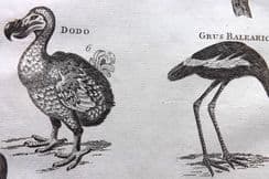 16th August 2022. Howard Birds & Natural History