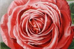 16th September 2022. Weathers - Beautiful Roses