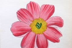 16th September 2023. Weber Botanical Prints