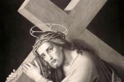 17th December 2025. King Ludwig Album - Large Folio Prints