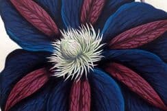 17th October 2024. Hibberd's Floral World